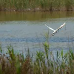 Valgrande Casone Farm stay *