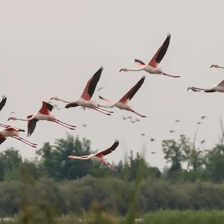 Farm stay Valgrande Casone Bibione