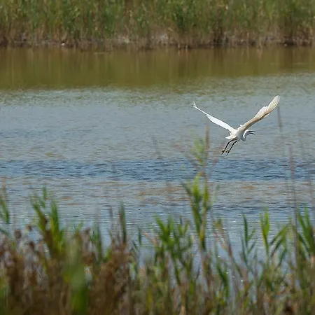 Valgrande Casone ファームステイ *