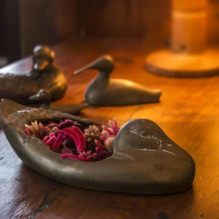 בית חווה Valgrande Casone ביביונה