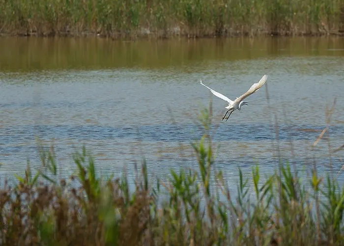 Valgrande Casone مزرعة للإقامة *