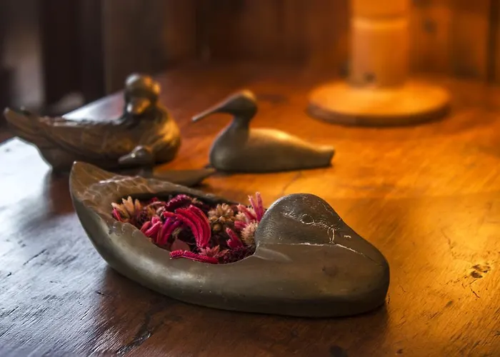 مزرعة للإقامة Valgrande Casone بيبيوني