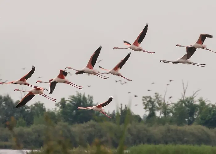 Gospodarstwo agroturystyczne Valgrande Casone Bibione